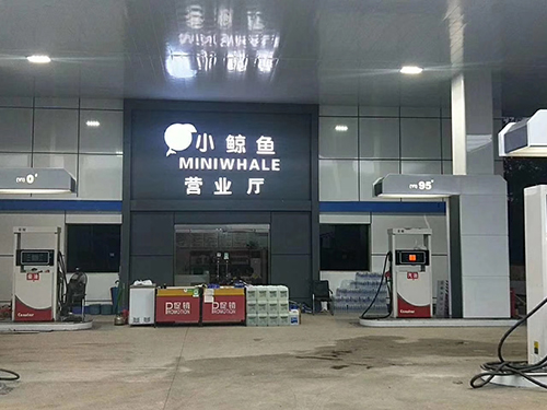 好色先生TV在线下载